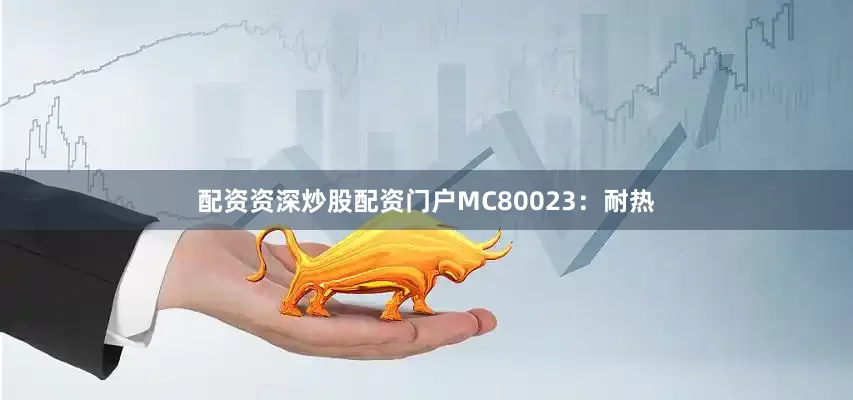 配资资深炒股配资门户MC80023：耐热