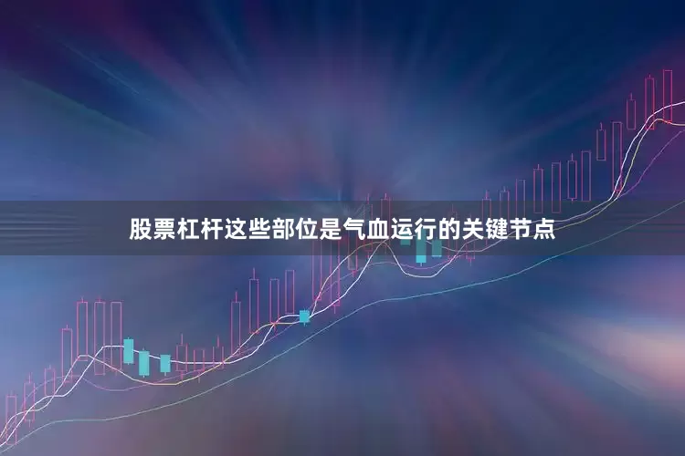 股票杠杆这些部位是气血运行的关键节点