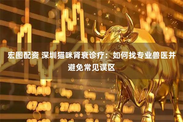 宏图配资 深圳猫咪肾衰诊疗：如何找专业兽医并避免常见误区
