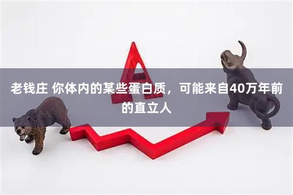 老钱庄 你体内的某些蛋白质，可能来自40万年前的直立人